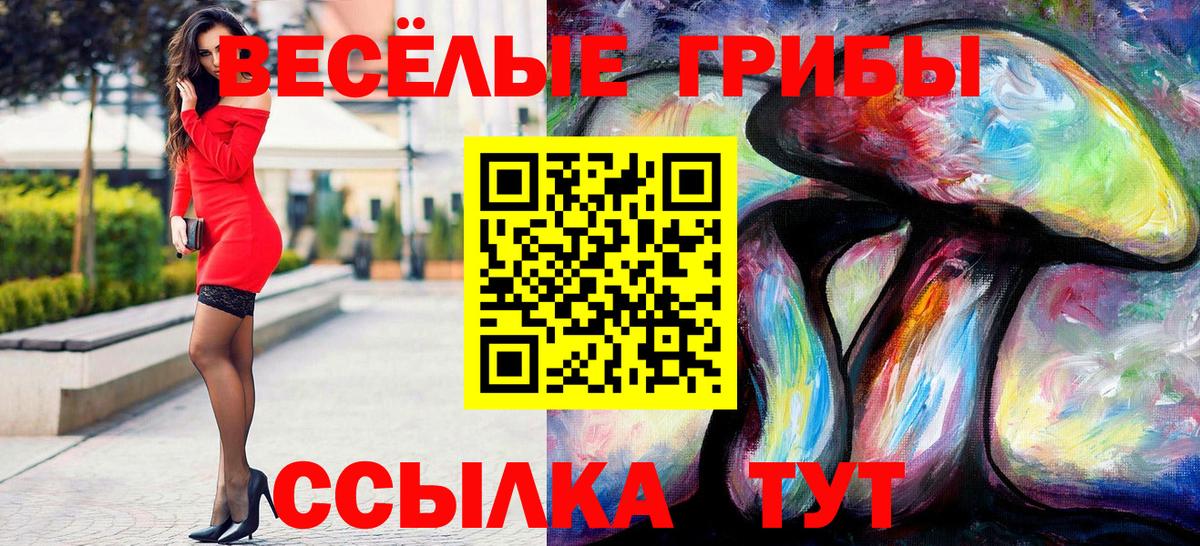 дарнет шоп  Вход с VPN  Славгород  Псилоцибиновые грибы мухоморы 