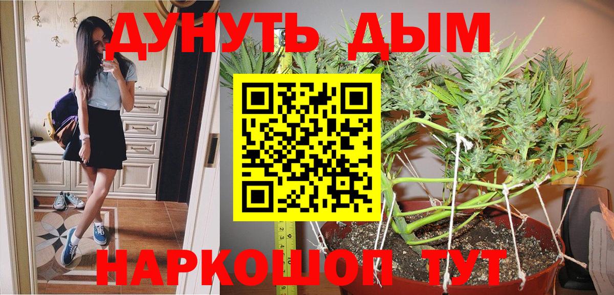 Бошки Шишки тримм  Каннабис SATIVA & INDICA  Каннабис Bruce Banner  Вход с VPN  Славгород 